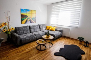 Apartment Paso
